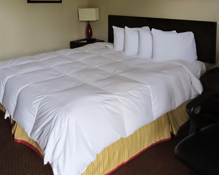 Red Roof Inn Florence, Sc المظهر الخارجي الصورة